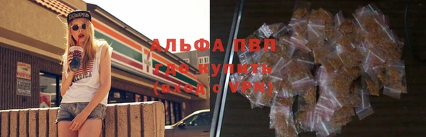 сатива Нея