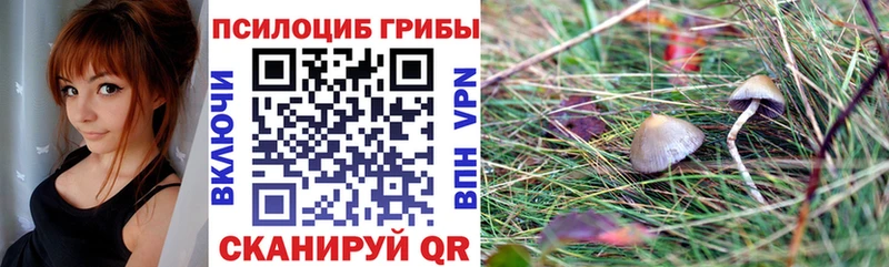 Псилоцибиновые грибы мухоморы  Купить закладки  Кирово-Чепецк 